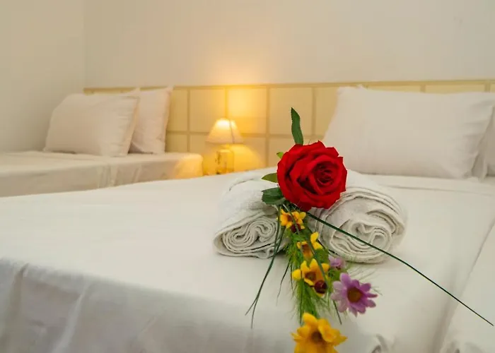 Πανσιόν Elidis