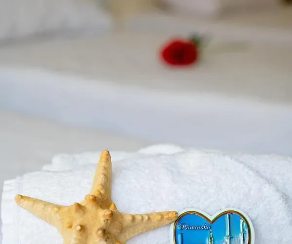 Πανσιόν Elidis Πριμόρσκο